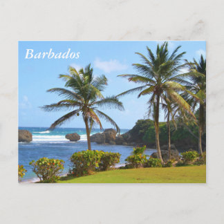 Cartão Postal Cartão-postal, Barbados, Cena de Praia, Palmeiras