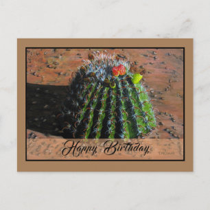 Cartão Postal Cartão-postal Barrel Cactus - Personalização Opcio