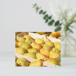 Cartão Postal Cartão-postal Bartlett Pears