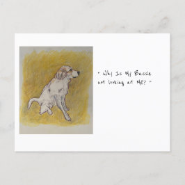 Cartão Postal Cartão-postal Bassie