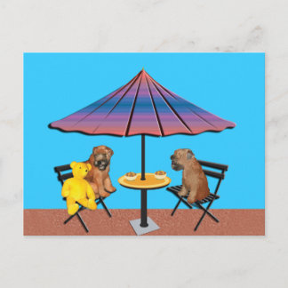 Cartão Postal Cartão-postal: Bate-papo