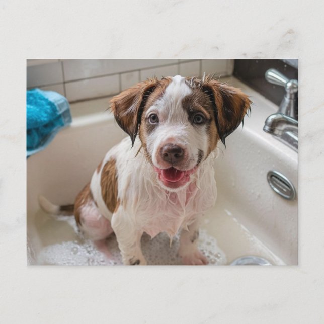 Cartão Postal Cartão-postal Bathtime Puppy no Sink (Frente)