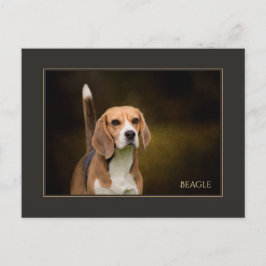Cartão Postal Cartão-postal Beagle