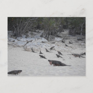 Cartão Postal Cartão-postal Beau Bahamas