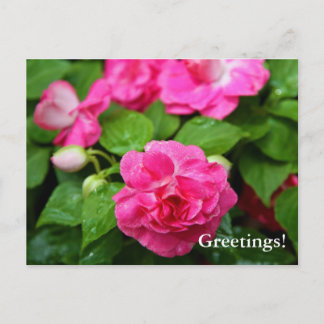 Cartão Postal Cartão-postal - Bilhete quente