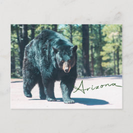 Cartão Postal Cartão-postal Black Bear