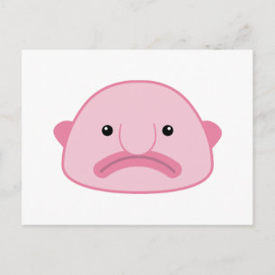 Cartão Postal Cartão-postal Blobfish