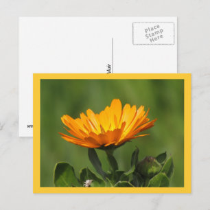 Cartão Postal Cartão-postal - Bloqueio de Calendário