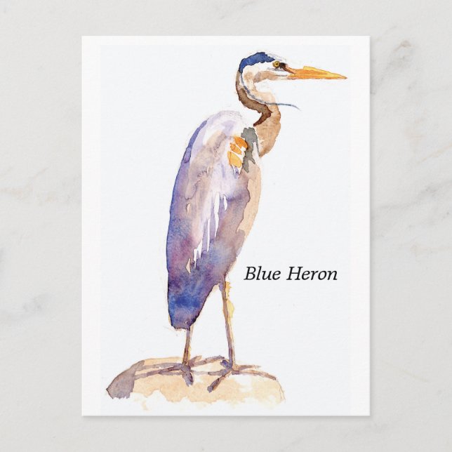 Cartão Postal Cartão-postal Blue Heron (Frente)