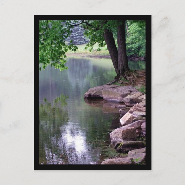 Cartão Postal Cartão-postal Blue Spuce Park #1 (Frente)