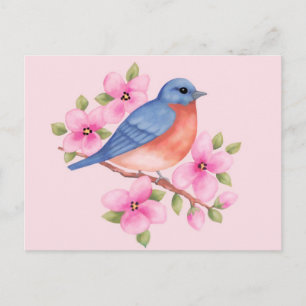 Cartão Postal Cartão-postal Bluebird
