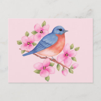 Cartão Postal Cartão-postal Bluebird