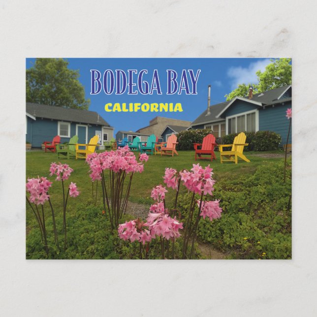 Cartão Postal Cartão-postal Bodega Bay Bodega Harbor (Frente)