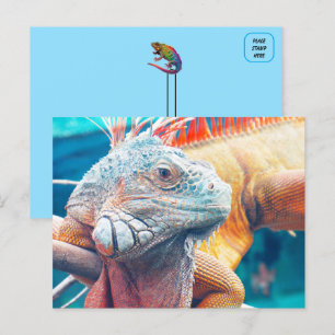 Cartão Postal Cartão-postal Bonita