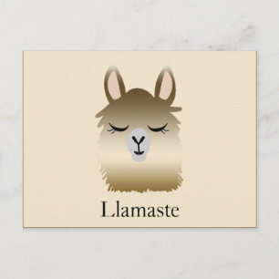Cartão Postal Cartão-postal Bonito Engraçado Llama Namaste