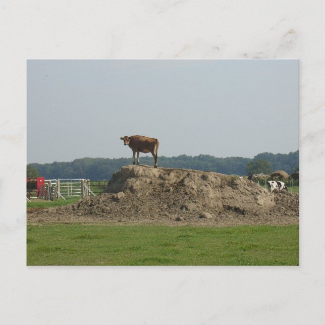 Cartão Postal Cartão-postal bonito permanente (Frente)