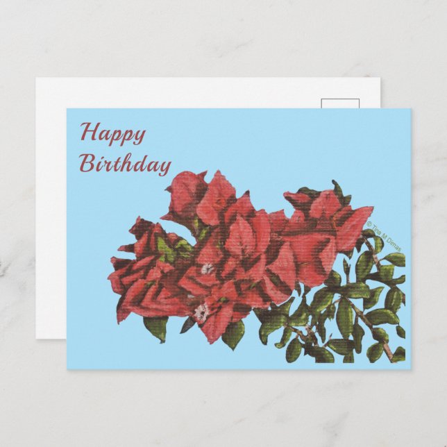 Cartão Postal Cartão-postal Bougainvillea (Frente/Verso)