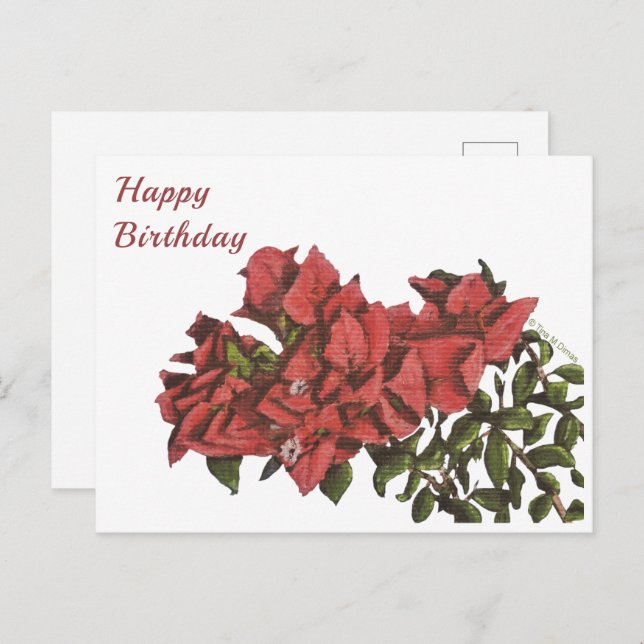 Cartão Postal Cartão-postal Bougainvillea (Frente/Verso)