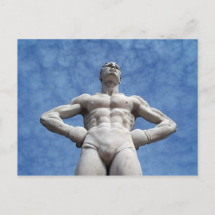 Cartão Postal Cartão-postal Boxer