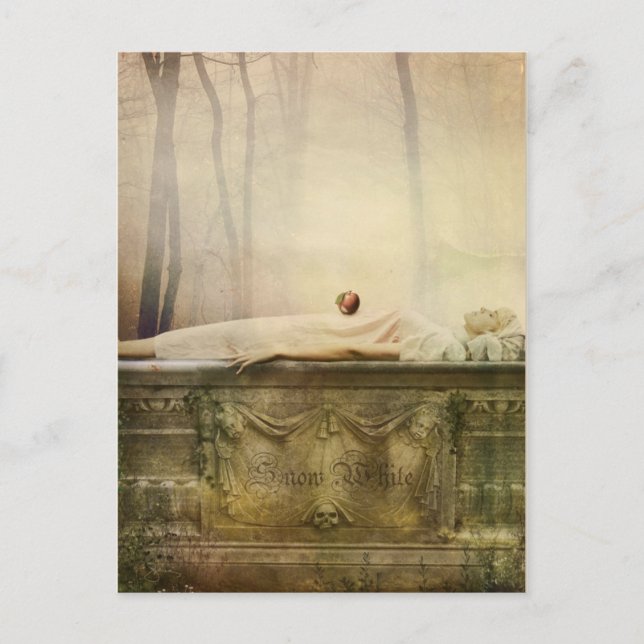 Cartão Postal Cartão-postal branco de neve (Frente)