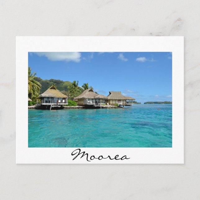 Cartão Postal Cartão-postal branco Moorea bungalows (Frente)