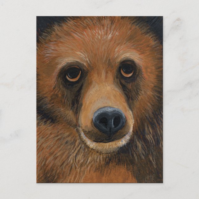 Cartão Postal Cartão-postal Brown Bear (Frente)