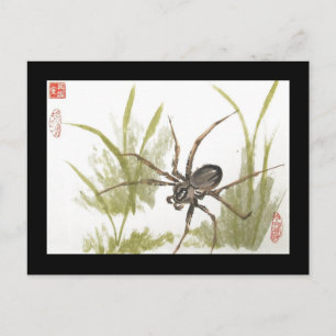 Cartão Postal Cartão-postal Brown Recluse