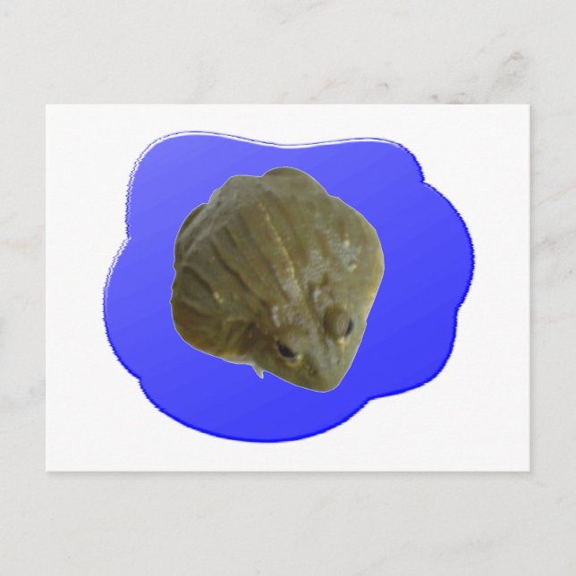 Cartão Postal Cartão-postal Bullfrog (Frente)