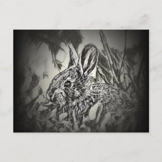 Cartão Postal Cartão-postal Bunny Rabbit - Yard Criters