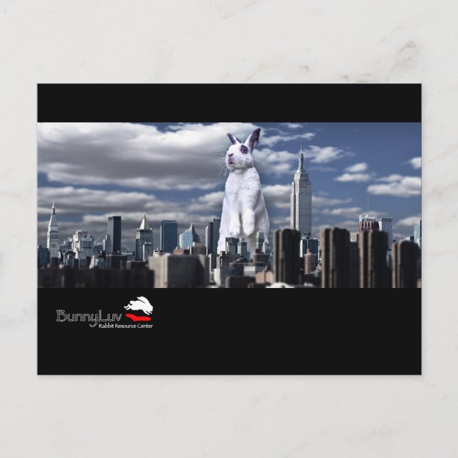 Cartão Postal Cartão-postal BunnyLuv com Emma (Frente)