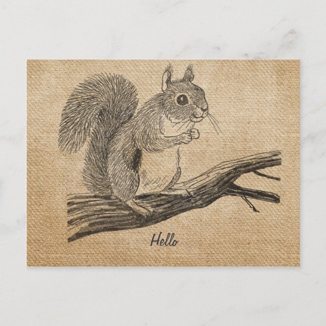 Cartão Postal Cartão-postal Burlap Vintage Squirrel (Frente)