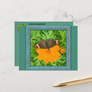 Cartão Postal Cartão-postal Butterfly