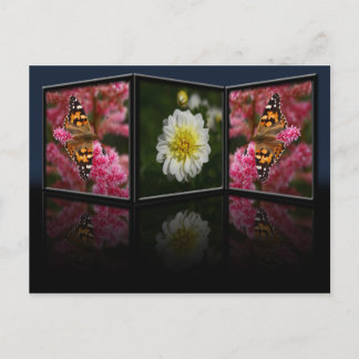 Cartão Postal Cartão-postal Butterfly e Dahlia