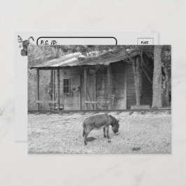 Cartão Postal Cartão-postal Cabin e Donkey no cartão-postal B&W