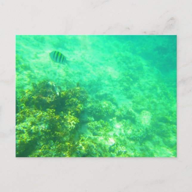 CARTÃO POSTAL CARTÃO-POSTAL CARIBENHO 2 (Frente)