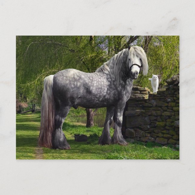 Cartão Postal Cartão-postal "Caspian & Your Cats" (Frente)