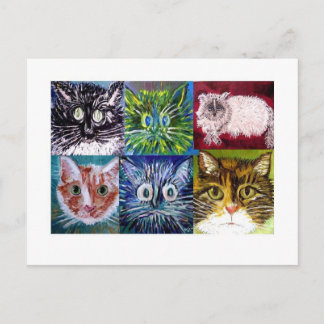 Cartão Postal Cartão-postal Cat