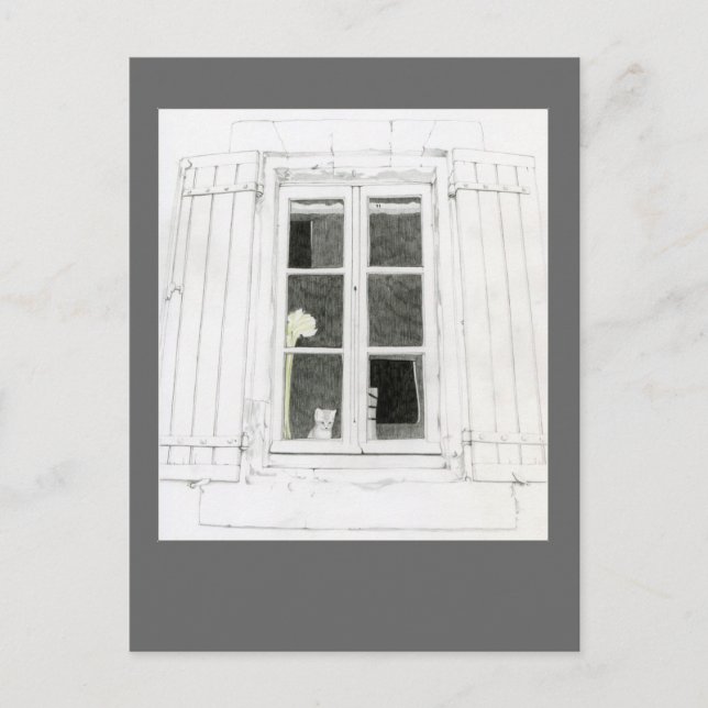 Cartão Postal Cartão-postal Cat na janela (Frente)