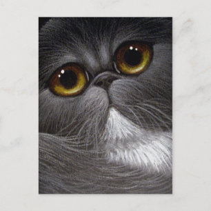 Cartão Postal Cartão-postal CAT PERSIAN