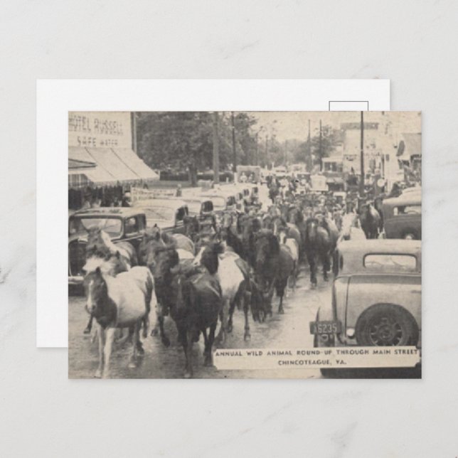 Cartão Postal Cartão-postal Chincoteague Pony Vintage 1941 (Frente/Verso)