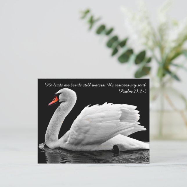 Cartão Postal Cartão-postal Christian Swan (Em pé/Frente)