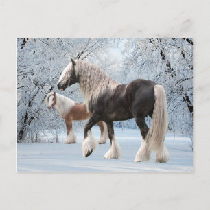 Cartão Postal Cartão-postal "Ciganos Neves"