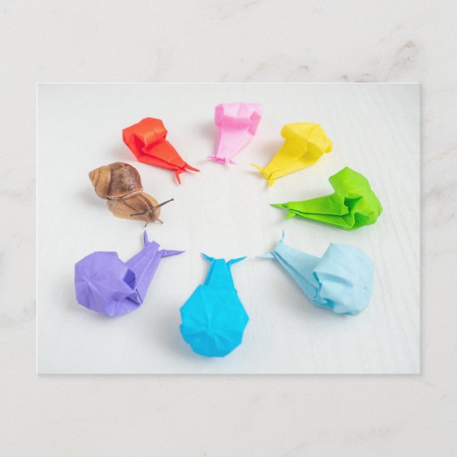 Cartão Postal Cartão-postal Colorido de Caracóis (Frente)