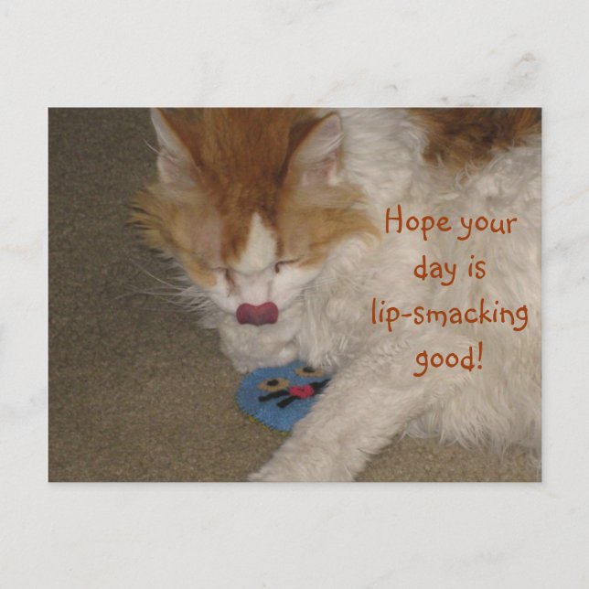 Cartão Postal Cartão-postal com boa pintura (Frente)