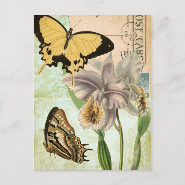 Cartão Postal Cartão-postal com borboletas e flores (Frente)