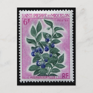 Cartão Postal Cartão-postal com carimbo gravado na Vintage