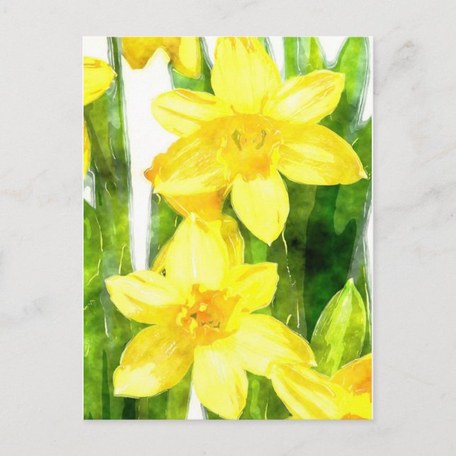 Cartão Postal Cartão-postal com Daffodils em aquarela (Frente)
