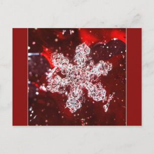 Cartão Postal Cartão-postal com foto em floco de neve