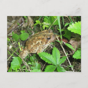 Cartão Postal Cartão-postal com Pai grande