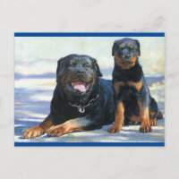 Cartão-postal com Vazio Rottweiler